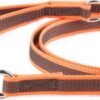Korte lijn hond - Antislip - 20mm - Met handvat