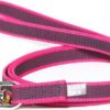 Korte lijn hond - Antislip - 20mm - Met handvat
