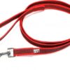 Korte lijn hond - Antislip - 20mm - Met handvat