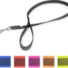 Korte lijn hond - Antislip - 20mm - Met handvat