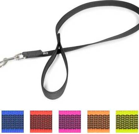 Korte lijn hond - Antislip - 20mm - Met handvat