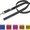 Korte lijn hond - Antislip - 20mm - Zonder handvat