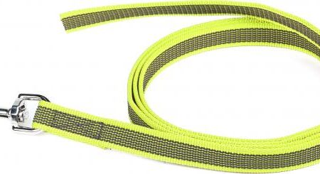 Korte lijn hond - Antislip - 20mm - Zonder handvat