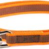 Korte lijn hond - Antislip - 20mm - Zonder handvat