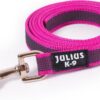 Korte lijn hond - Antislip - 20mm - Zonder handvat