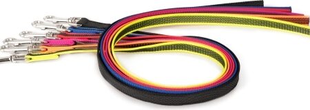 Korte lijn hond - Antislip - 20mm - Zonder handvat
