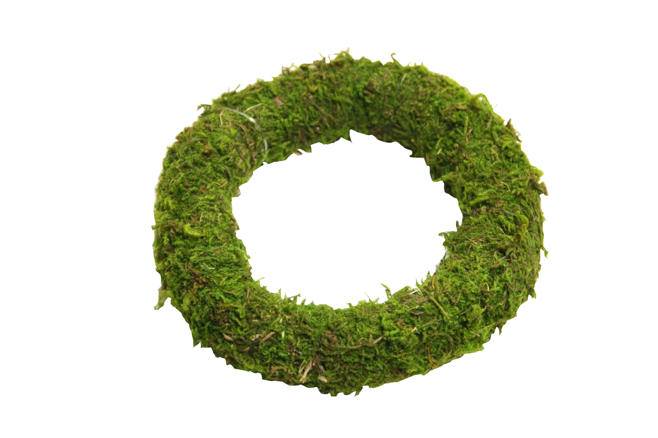 Krans Asia Mos Ø10cm | HBX natural living