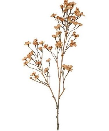 Kunstbloem Forsythia bruin zijde H92cm | Countryfield