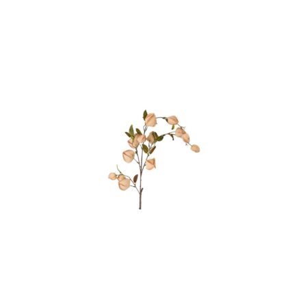 Kunstbloem Physalis bruin zijde H94cm | Countryfield