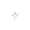 Kunstbloem Zinnia licht bruin H108cm | Countryfield