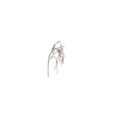 Kunsttak Corylus bruin H32cm | Countryfield
