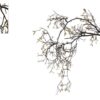 Kunsttak Spring Leave Vine zwart/goud 110cm