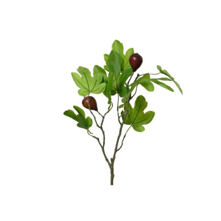 Kunsttak vijg 25x12x63cm | Decoris