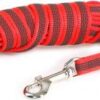 Lange lijn hond - Antislip - 14mm - Met handvat