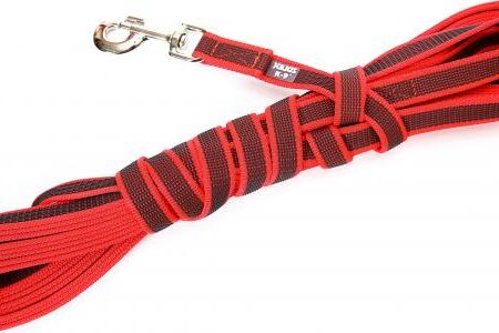 Lange lijn hond - Antislip - 20mm - Met handvat