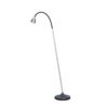 Athene A-ABSL Vloerlamp - Zwart