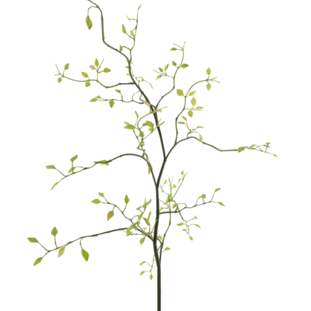 Lonicera leaf spray Fresh green 96cm