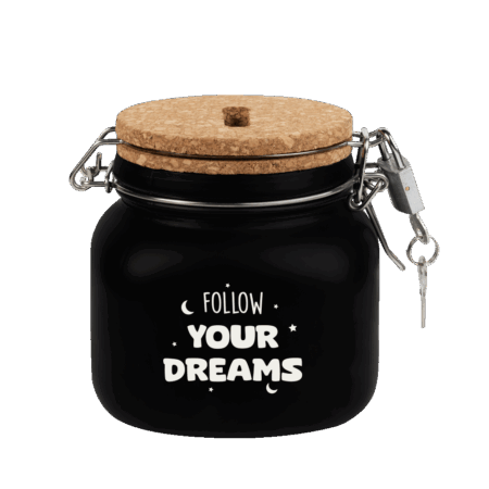 Luxe Spaarpot Follow your dreams