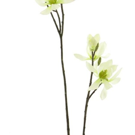 Magnolia spray cassablanca creme 102cm