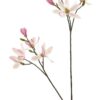 Magnolia spray cassablanca roze 102cm