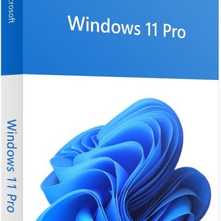 Windows 11 Pro NL oem