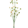 Mini daisy bundle orange 55cm