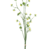 Mini daisy bundle white 55cm