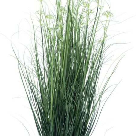 Mini dill weed grass in pot green 122cm