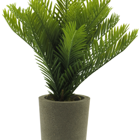 Mini palm in pot green 40cm