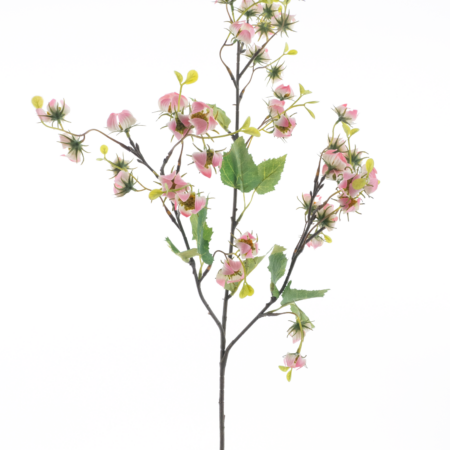 Mini physalis spray pink 92cm