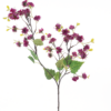 Mini physalis sprayred 92cm