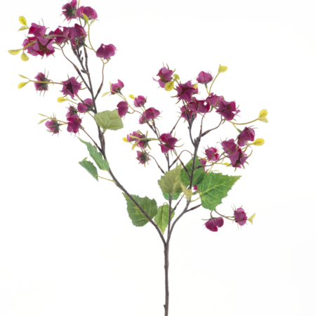 Mini physalis sprayred 92cm