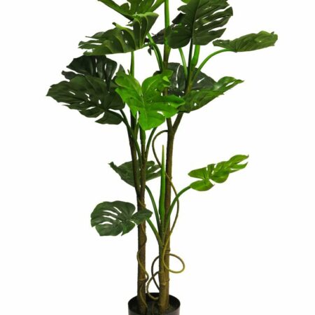 Monstera deliciosa green 120cm