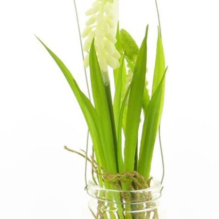 Muscari in glazen pot met hanger crème 24cm