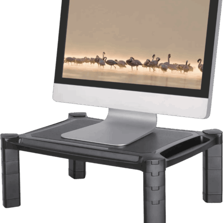 Neomounts by Newstar NSMONITOR20 Monitorstandaard Zwart