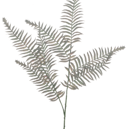Boston fern spray green 76cm
