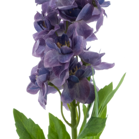 Delphinium spray Roland purple 87cm