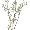 Sedum spray pink 83cm