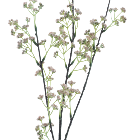 Sedum spray pink 83cm