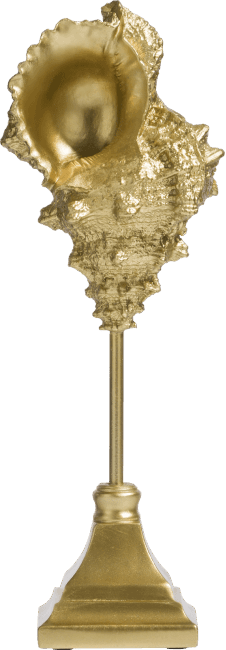 Object Shell 36cm.