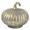 Ornament pompoen L