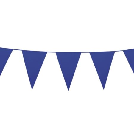 PE reuzenvlaggenlijn blauw (10 m) | Boland