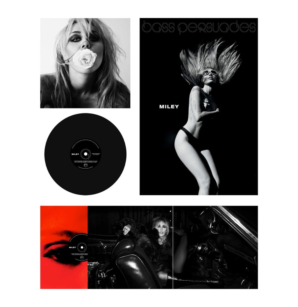 PRE-ORDER Miley - Bass Persuades (LP) | Fiftiesstore