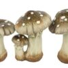 Paddestoel Harri M a3 bruin - L12B15