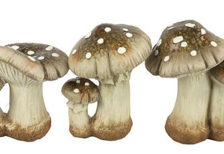 Paddestoel Harri M a3 bruin - L12B15