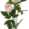 Paeony spray Chiba lt pink 65cm