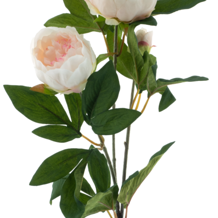 Paeony spray Chiba lt pink 65cm