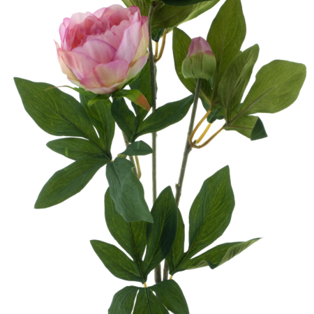 Paeony spray Chiba pink 65cm