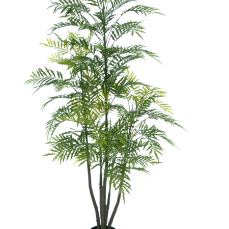 Palm Bonaire in pot green 180cm