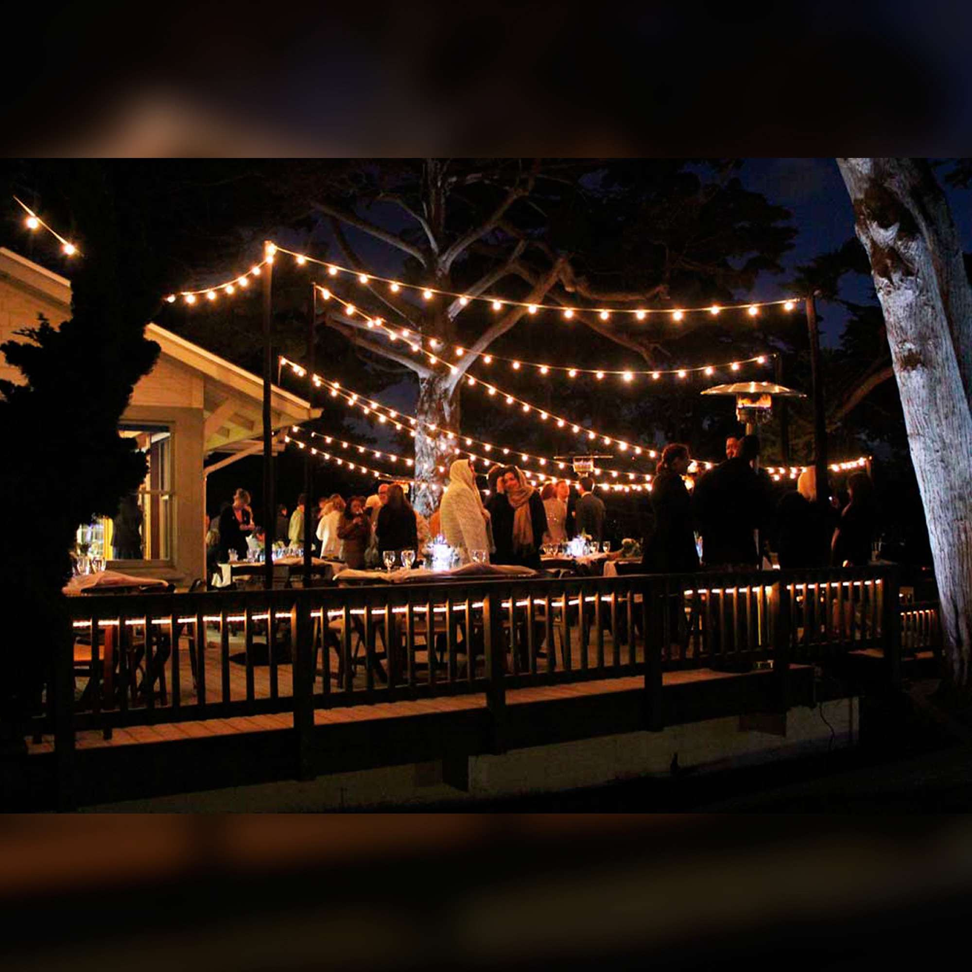 Patio Lichtsnoer Helder 60m met 72 LED's